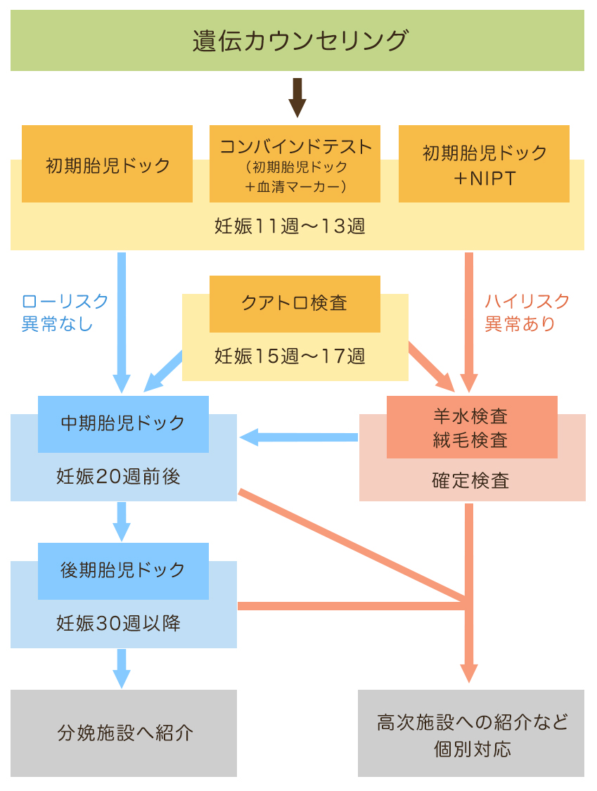 出生前診断 新宿南口レディースクリニック 婦人科 産婦人科 出生前診断 Nipt 東京 女性医師在籍
